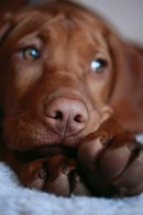 Аватар користувача