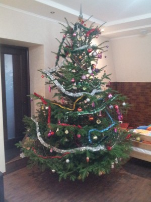 2012-12-29 16.19.03.jpg