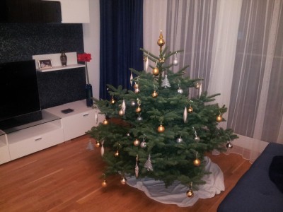 2013-12-30 21.12.36.jpg
