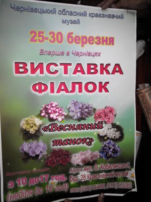 2014-03-19 11.49.16.jpg