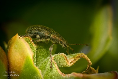 DSC_0856.jpg