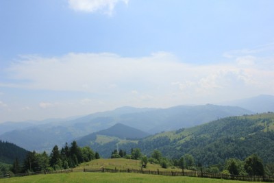 1 (10).jpg