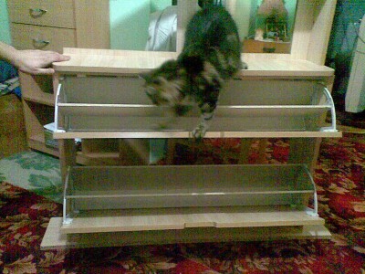 Image(1141).jpg