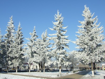 DSCF3507.JPG