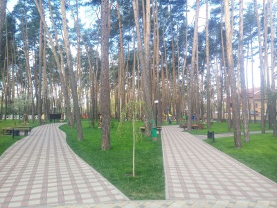 park_1.jpg