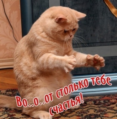 2fa43c9b81.jpg