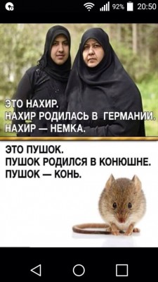 image.jpeg