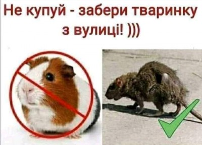 изображение_viber_2021-04-22_18-51-46.jpg